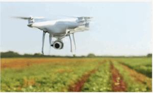 Epolin Drone Crop Image